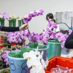 US tariffs: USA concludes trade agreement with Taiwan
