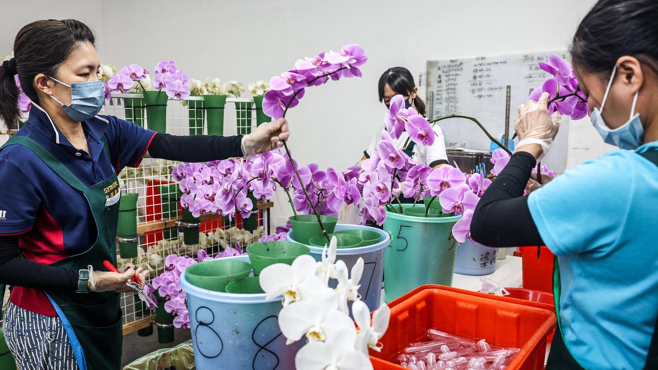 US tariffs: USA concludes trade agreement with Taiwan