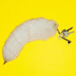 Property Value: What is your house worth? A guide to doing your own calculations