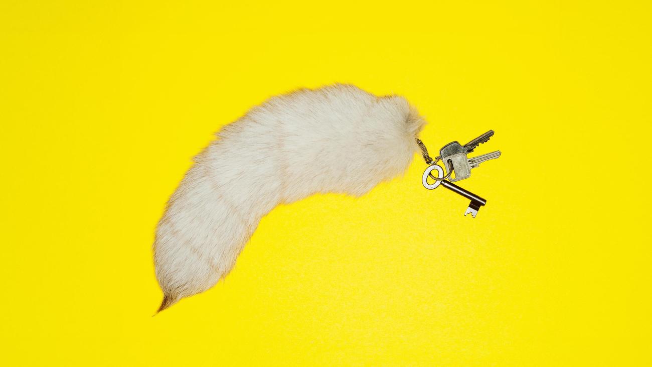 Property Value: What is your house worth? A guide to doing your own calculations