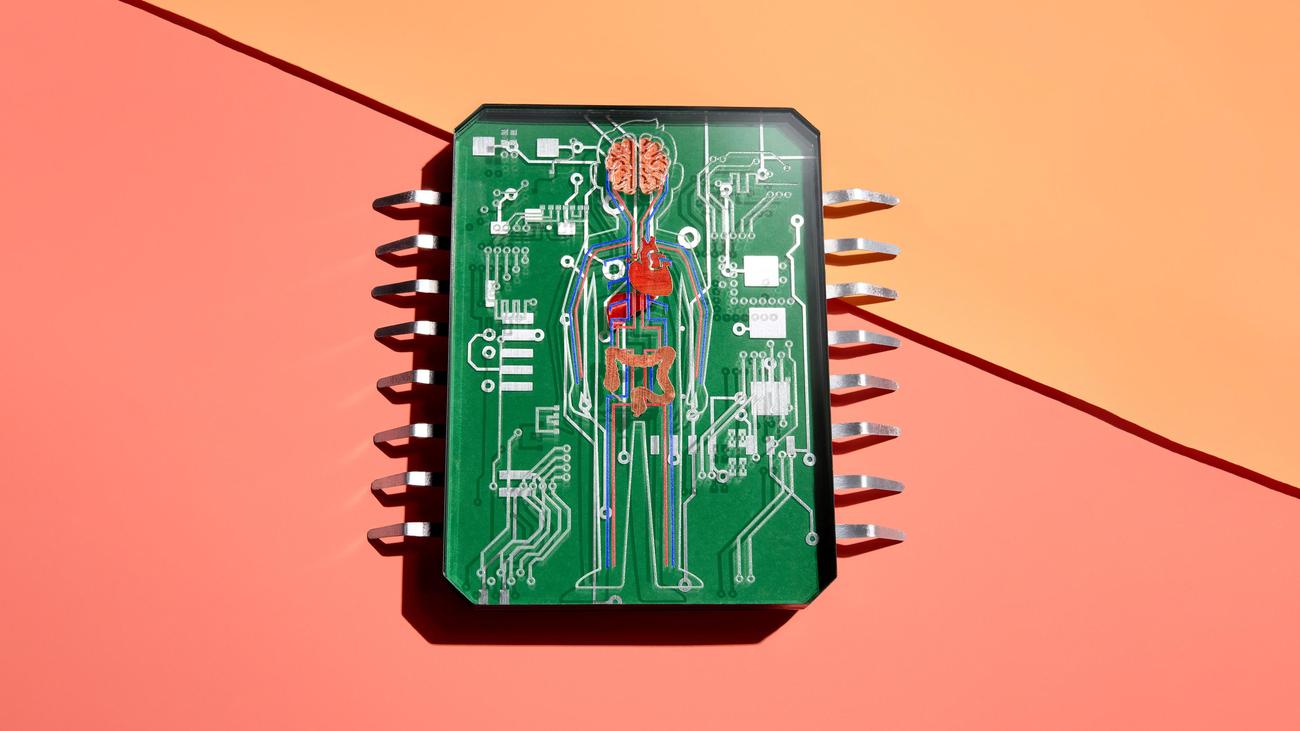 Health data: How to use the electronic patient record correctly