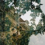 Excessive rents: Are some landlords systematically violating the law?