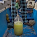 Energy crisis in Asia: Everyone fights for themselves