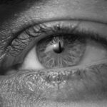 Productivity through AI: AI should take our jobs away. Really?