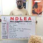 NDLEA Seizes Cocaine Hidden In Dry Fish, Arrests Grandpa With Meth (Photos)