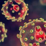 146 Dead, 25 Doctors Infected In Three Months As Lassa Fever Ravages Nigeria