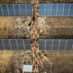 Energy prices in Spain: Where electricity is still cheap