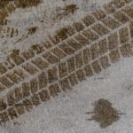 Climate protection: No, it doesn’t matter what Germany does for the climate