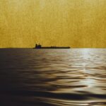 Strait of Hormuz: “If this goes through, the rules of world trade will change”