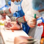 Meat industry: Federal Constitutional Court confirms ban on work contracts in slaughterhouses