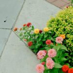 Survey: 81 percent of Germans believe wealth is unfairly distributed