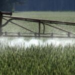 Weedkiller: US Supreme Court divided over glyphosate lawsuits against Bayer