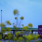 Oil trading: BP doubles profits despite impact of Iran war