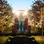 Energy crisis: EU Commission temporarily allows higher electricity price support for companies