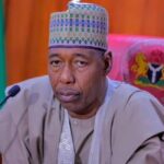 Borno Governor Says Jilli Market Hit By Airstrike Was Shut Five Years Ago Over Insurgent Activity