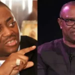 Fani-Kayode Blasts Peter Obi Over Abacha Comment, Says He Crossed the Line