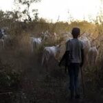 “They Want Us Off Our Farms” — Fresh Fear as Department of State Services Warns of Planned Attacks in Kwara State