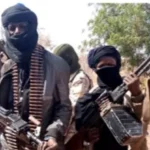 Bandits Terrorise Shiroro Community, Kill Villagers and Abduct Scores