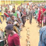 “A Democracy on Paper” — APC Primaries Expose Deep Cracks Ahead of 2027